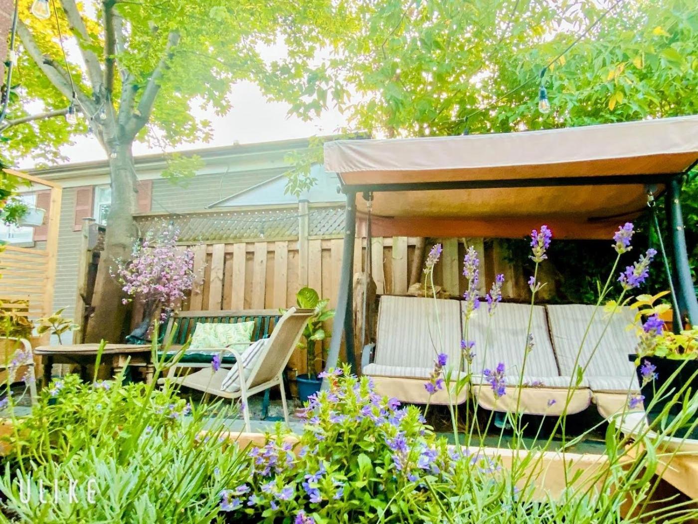 Toronto Bed & Breakfast - Free Parking エクステリア 写真