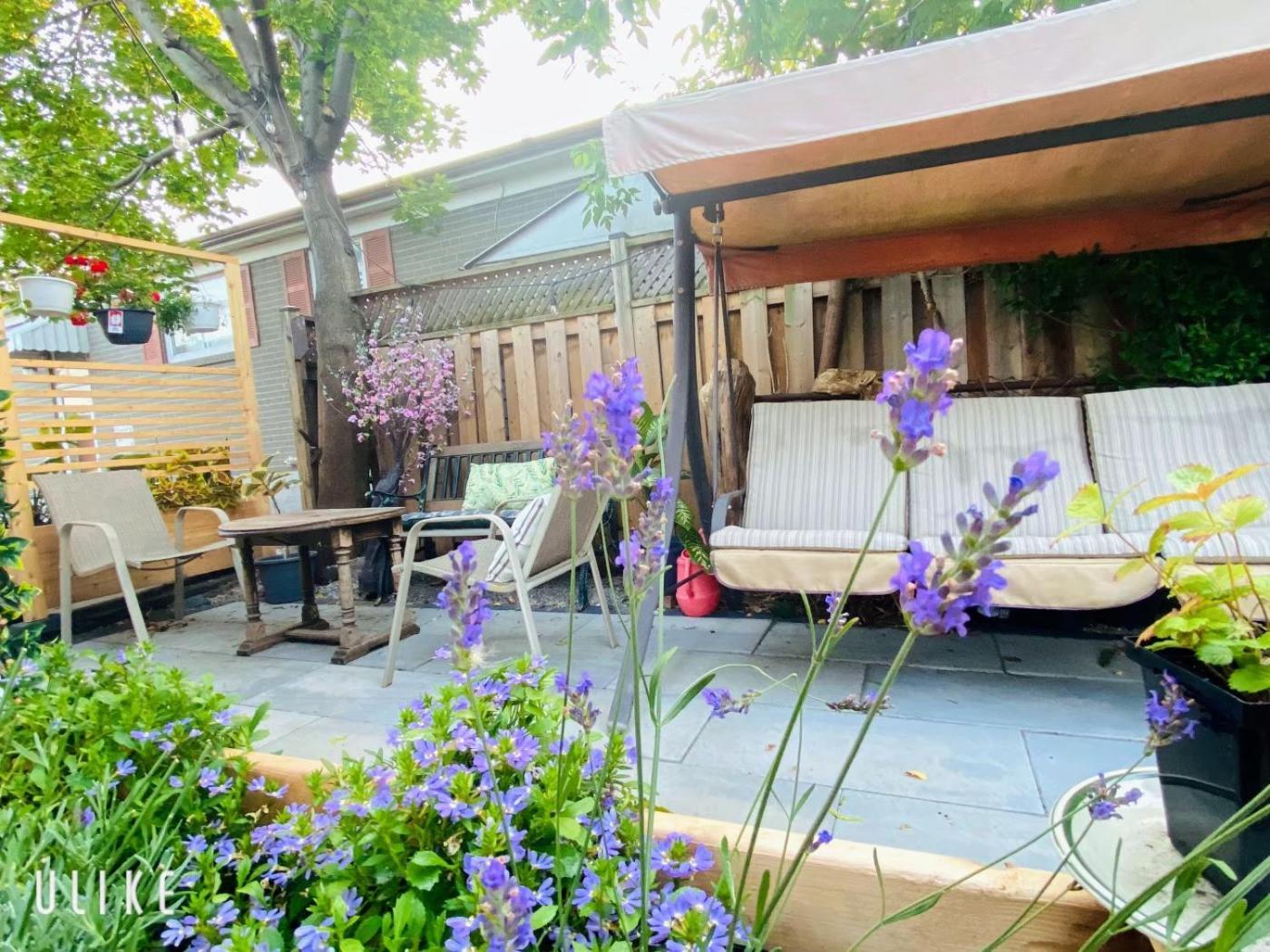 Toronto Bed & Breakfast - Free Parking エクステリア 写真
