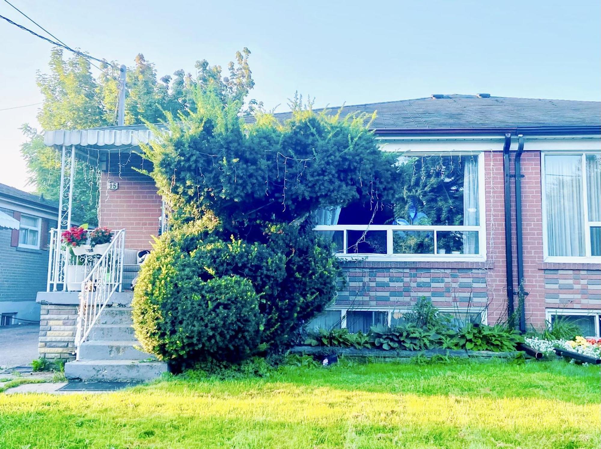 Toronto Bed & Breakfast - Free Parking エクステリア 写真